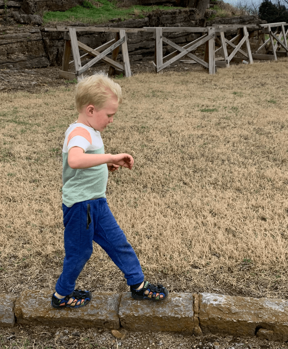 Fort Negley Park: No playground